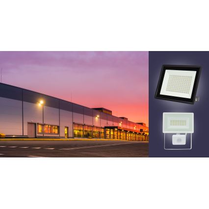 LED Reflektor zewnętrzny NOCTIS LUX 3 LED/100W/230V 4000K IP65 biały