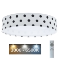 LED Regulowane natynkowe oświetlenie dziecięce SMART GALAXY KIDS LED/24W/230V 3000-6500K kropki biały/czarny + pilot do zdalnego sterowania