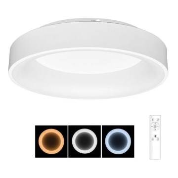 LED Regulowane oświetlenie sufitowe NEST LED/40W/230V 3000-6500K białe