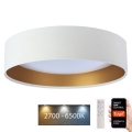LED Regulowane oświetlenie sufitowe SMART GALAXY LED/36W/230V śr. 55 cm 2700-6500K Wi-Fi Tuya białe/złote + pilot zdalnego sterowania