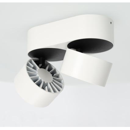 LED Regulowane punktowe oświetlenie LAHTI MINI 2xLED/9W/230V 3000K CRI 90 białe