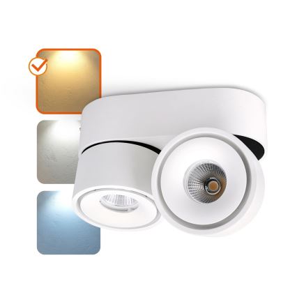 LED Regulowane punktowe oświetlenie LAHTI MINI 2xLED/9W/230V 3000K CRI 90 białe