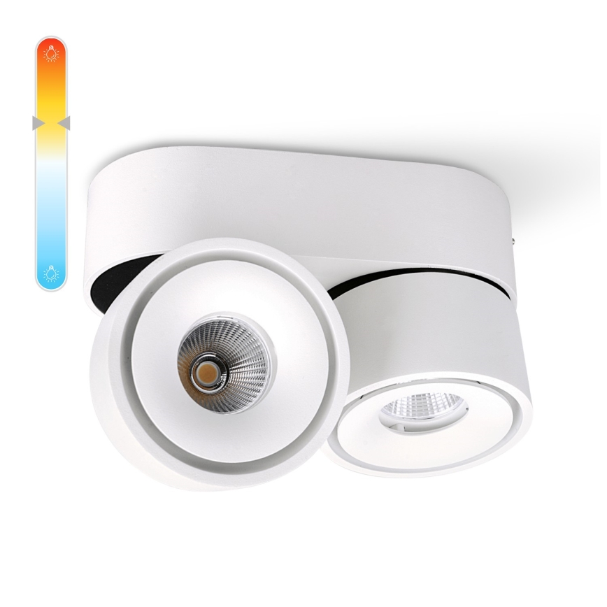 LED Regulowane punktowe oświetlenie LAHTI MINI 2xLED/9W/230V 3000K CRI 90 białe