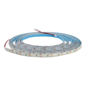 LED Regulowany pasek łazienkowy DAISY 5m ciepła biel IP65