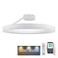 LED Regulowany sufitowy żyrandol LED/40W/230V 3000-6500K biały + pilot do zdalnego sterowania