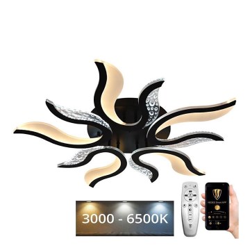LED Regulowany sufitowy żyrandol LED/65W/230V 3000-6500K czarny + pilot do zdalnego sterowania