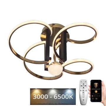 LED Regulowany sufitowy żyrandol LED/80W/230V 3000-6500K + pilot do zdalnego sterowania