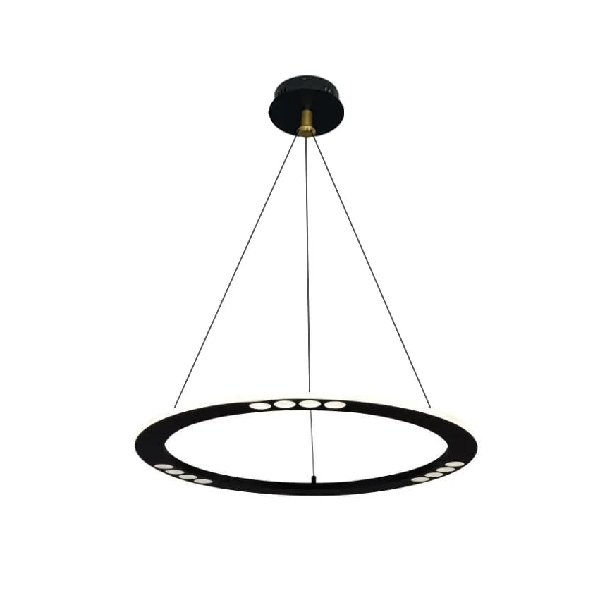 Lampa sufitowa LED ściemnialna na linkę LED/40W/230V 3000-6500K + pilot do zdalnego sterowania