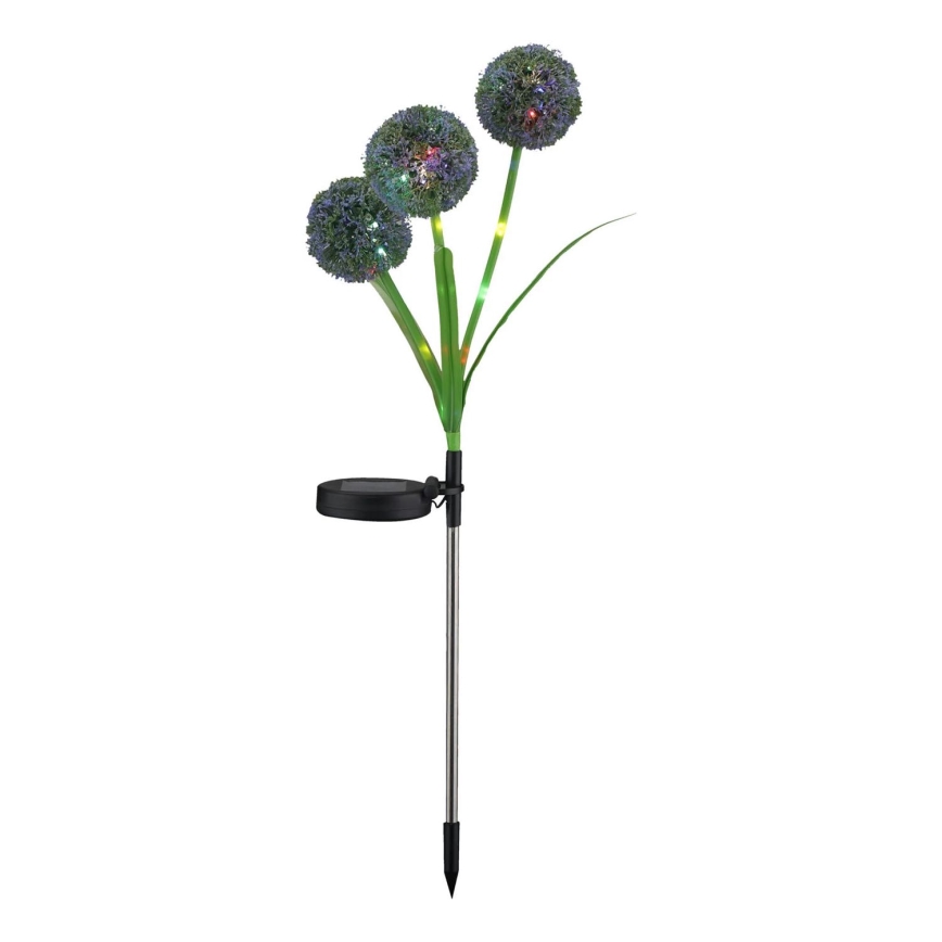 LED RGB Oświetlenie solarne ALLIUM LED/1,2V 6500 600 mAh IP44 czarny