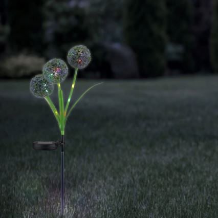 LED RGB Oświetlenie solarne ALLIUM LED/1,2V 6500 600 mAh IP44 czarny