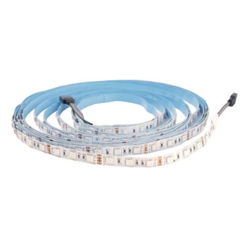LED RGB ściemnialna taśma DAISY 5m