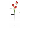 LED RGB solarna lampa dekoracyjna 3xLED/3,7V 200 mAh IP44 tulipan