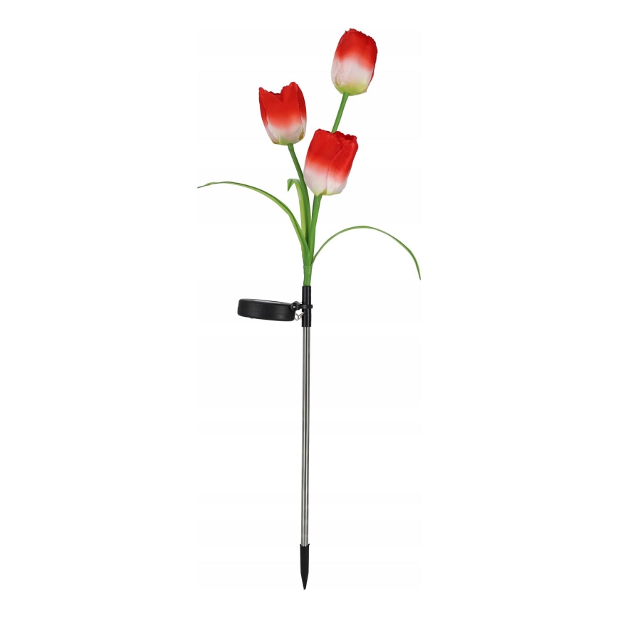 LED RGB solarna lampa dekoracyjna 3xLED/3,7V 200 mAh IP44 tulipan