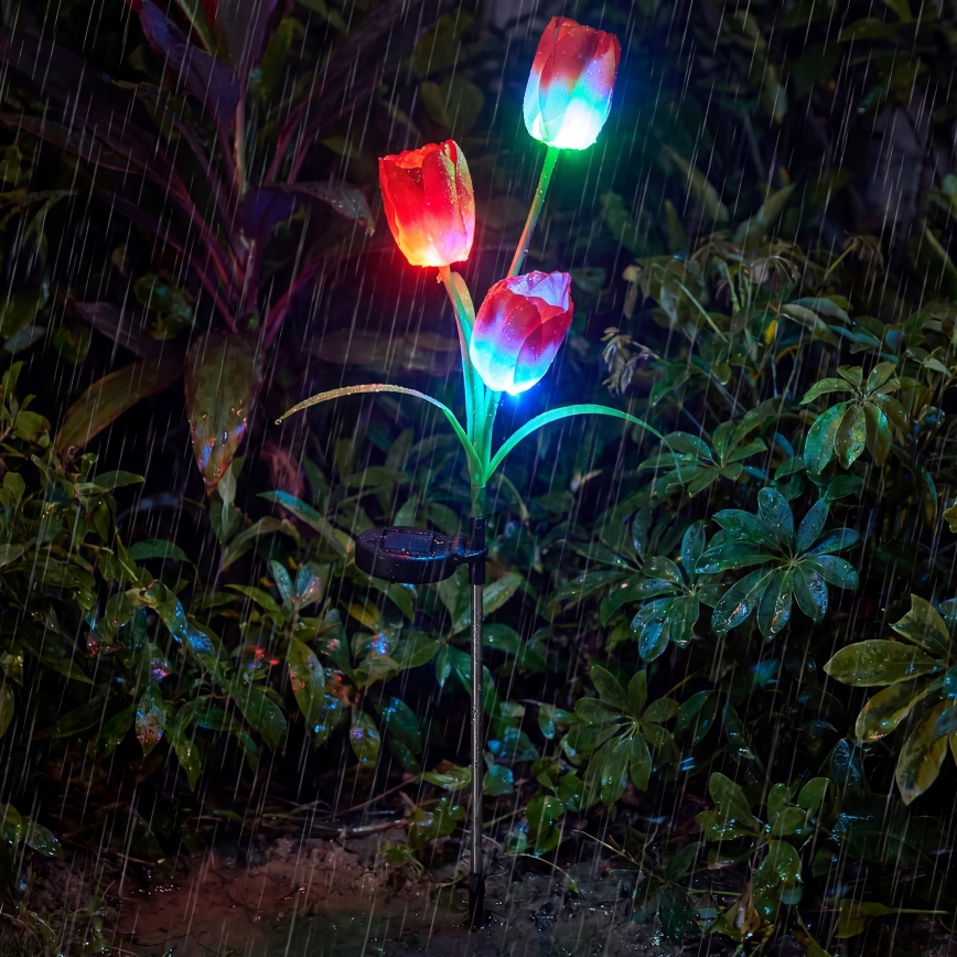 LED RGB solarna lampa dekoracyjna 3xLED/3,7V 200 mAh IP44 tulipan