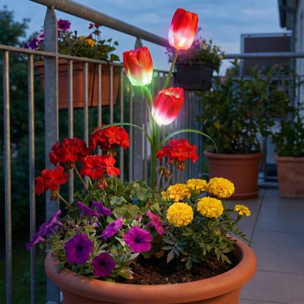 LED RGB solarna lampa dekoracyjna 3xLED/3,7V 200 mAh IP44 tulipan
