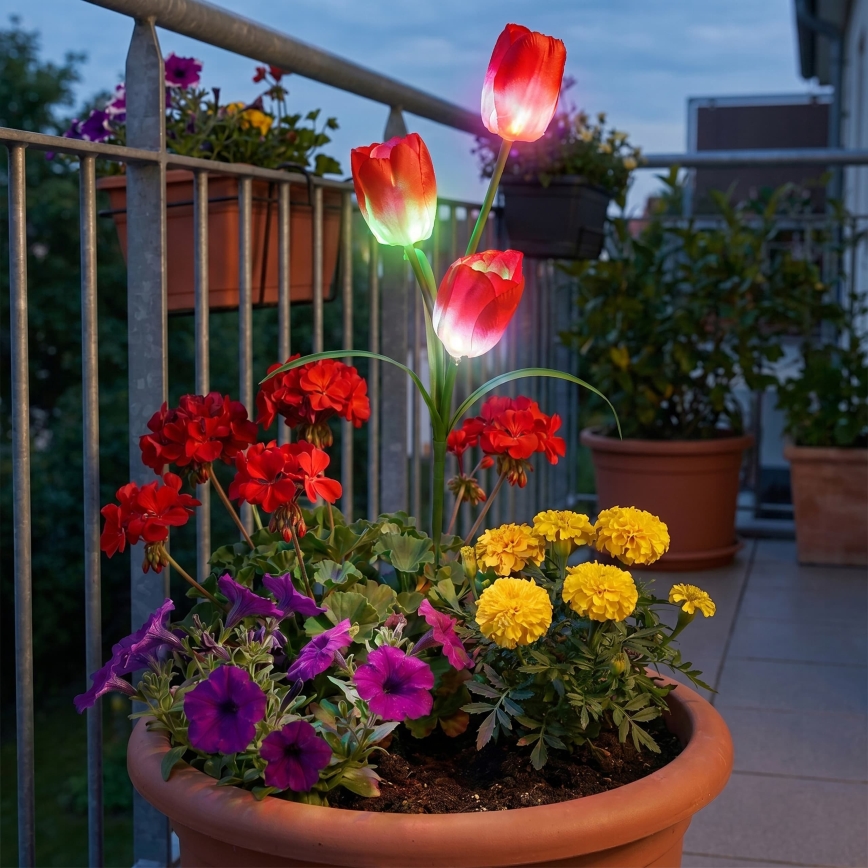 LED RGB solarna lampa dekoracyjna 3xLED/3,7V 200 mAh IP44 tulipan