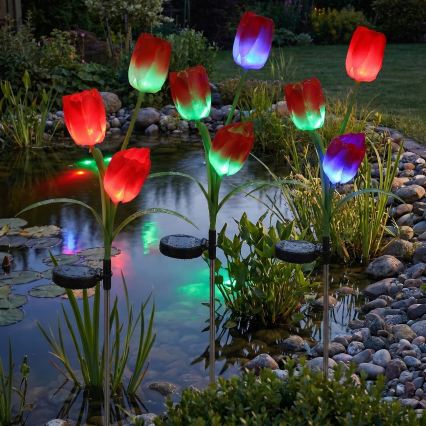 LED RGB solarna lampa dekoracyjna 3xLED/3,7V 200 mAh IP44 tulipan