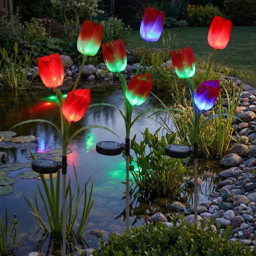 LED RGB solarna lampa dekoracyjna 3xLED/3,7V 200 mAh IP44 tulipan
