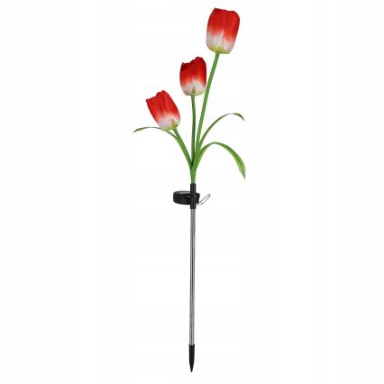 LED RGB solarna lampa dekoracyjna 3xLED/3,7V 200 mAh IP44 tulipan