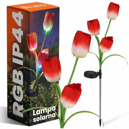 LED RGB solarna lampa dekoracyjna 3xLED/3,7V 200 mAh IP44 tulipan