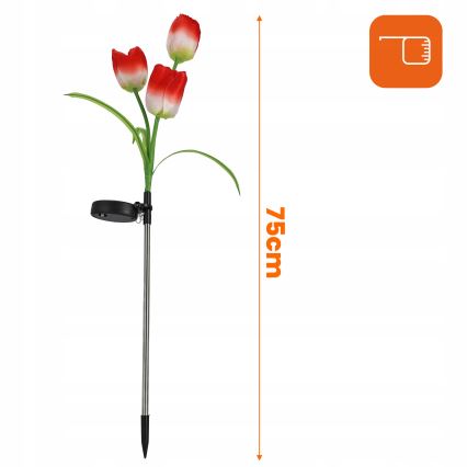 LED RGB solarna lampa dekoracyjna 3xLED/3,7V 200 mAh IP44 tulipan