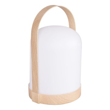 LED RGBW Dekoracyjna lampka stołowa MINORKA LED/0,3W/4,5V 3xAA