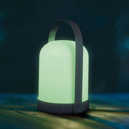 LED RGBW Dekoracyjna lampka stołowa MINORKA LED/0,3W/4,5V 3xAA