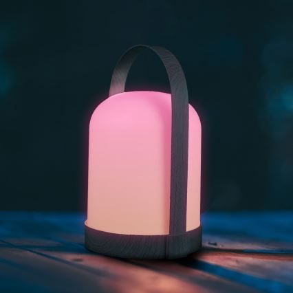 LED RGBW Dekoracyjna lampka stołowa MINORKA LED/0,3W/4,5V 3xAA