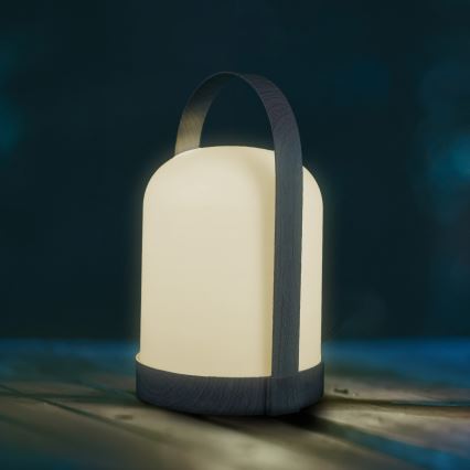 LED RGBW Dekoracyjna lampka stołowa MINORKA LED/0,3W/4,5V 3xAA