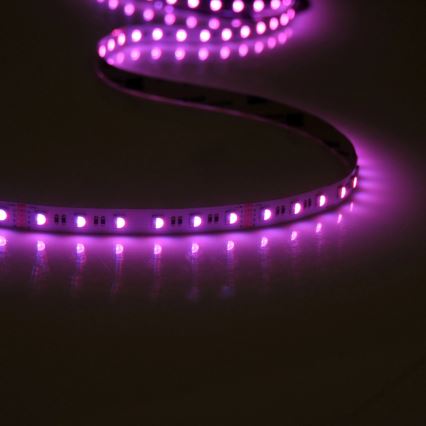 LED RGBW Ściemniana taśma 3m LED/22W/24/230V + pilot