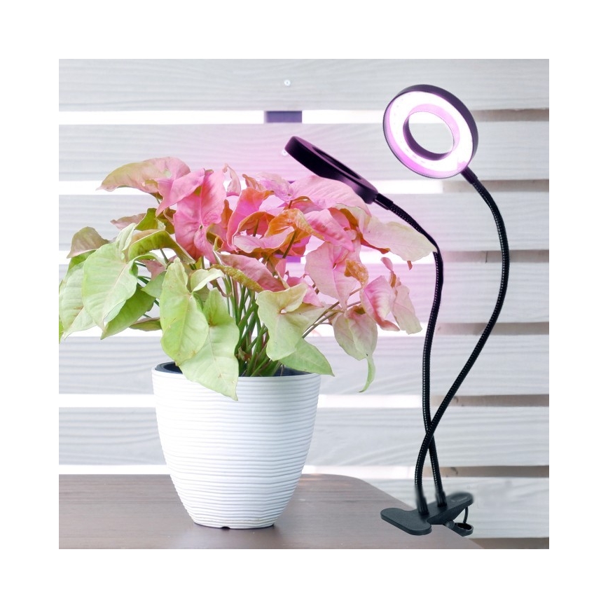 LED Ściemnialna elastyczny Lampa stołowa z klipsem do uprawy roślin VITARO 2xLED/4W/230V czarny