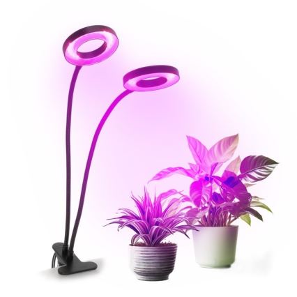 LED Ściemnialna elastyczny Lampa stołowa z klipsem do uprawy roślin VITARO 2xLED/4W/230V czarny