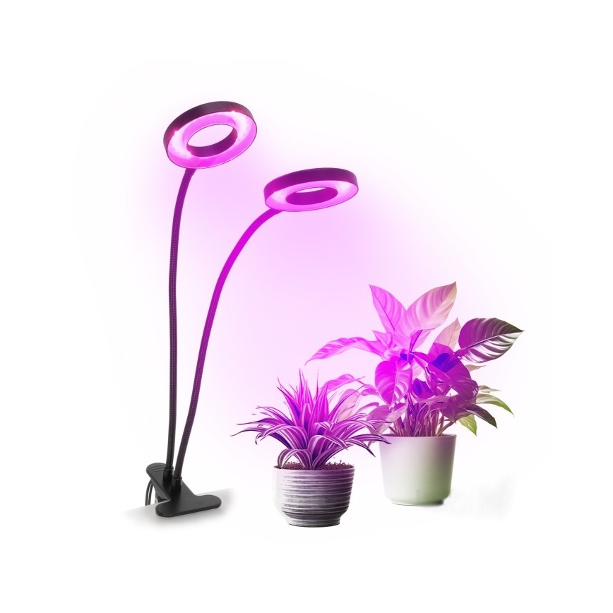 LED Ściemnialna elastyczny Lampa stołowa z klipsem do uprawy roślin VITARO 2xLED/4W/230V czarny