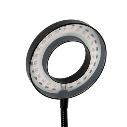 LED Ściemnialna elastyczny Lampa stołowa z klipsem do uprawy roślin VITARO 2xLED/4W/230V czarny