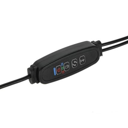 LED Ściemnialna elastyczny Lampa stołowa z klipsem do uprawy roślin VITARO 2xLED/4W/230V czarny