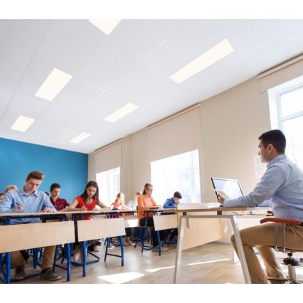 LED Ściemnialny panel natynkowy CAPRI LED/25/36/40W/230V 3000/4000/5700K IP44 30x120 cm