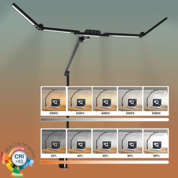 LED Ściemnialna dotykowa elastyczny Lampa stołowa POINTIQ LED/24W/230V 3000-6500K CRI 92 czarny