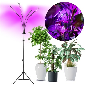LED Ściemnialna elastyczna lampa podłogowa do uprawy roślin VITARO 4xLED/7,5W/230V czarny