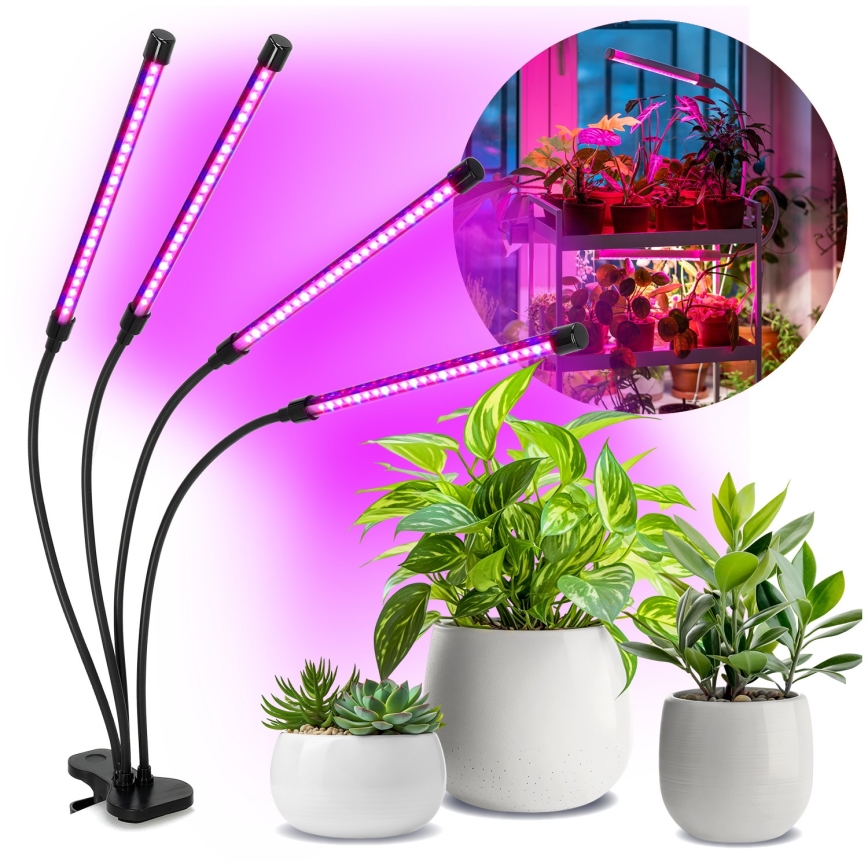 LED Ściemnialna elastyczna lampa stołowa z klipsem do uprawy roślin VITARO 4xLED/10W/230V czarny