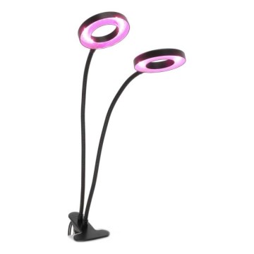 LED Ściemnialna elastyczny Lampa stołowa z klipsem do uprawy roślin VITARO 2xLED/4W/230V czarny