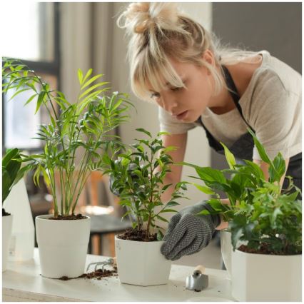 Ściemniana lampka biurkowa LED do uprawy roślin VERDI LED/5W/5V 1300K CRI 95 czarna