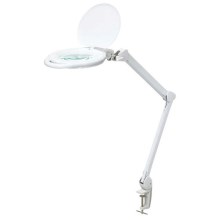 LED Ściemnialna lampa stołowa z lupą LED/10W/230V biała