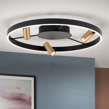 LED Ściemnialna lampa sufitowa BERLIN LED/50W/230V czarna/złota