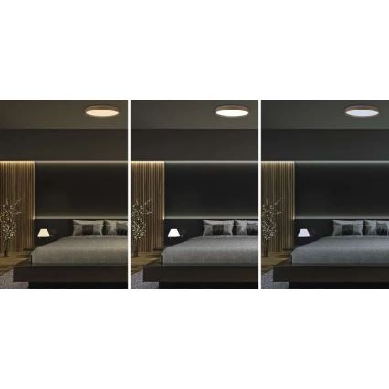 Ściemnialna lampa sufitowa LED ILVI LED/45W/230V 2700-6500K śr. 50 cm dekor drewna + pilot zdalnego sterowania