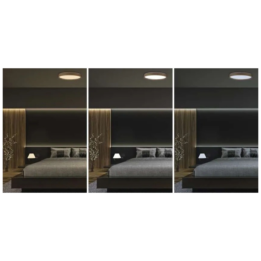 Ściemnialna lampa sufitowa LED ILVI LED/45W/230V 2700-6500K śr. 50 cm dekor drewna + pilot zdalnego sterowania