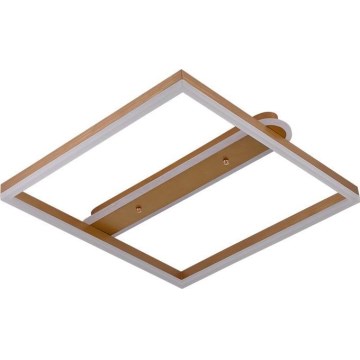 LED Ściemnialna lampa sufitowa LED/60W/230V 3000-6500K + pilot