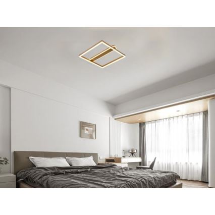 LED Ściemnialna lampa sufitowa LED/60W/230V 3000-6500K + pilot