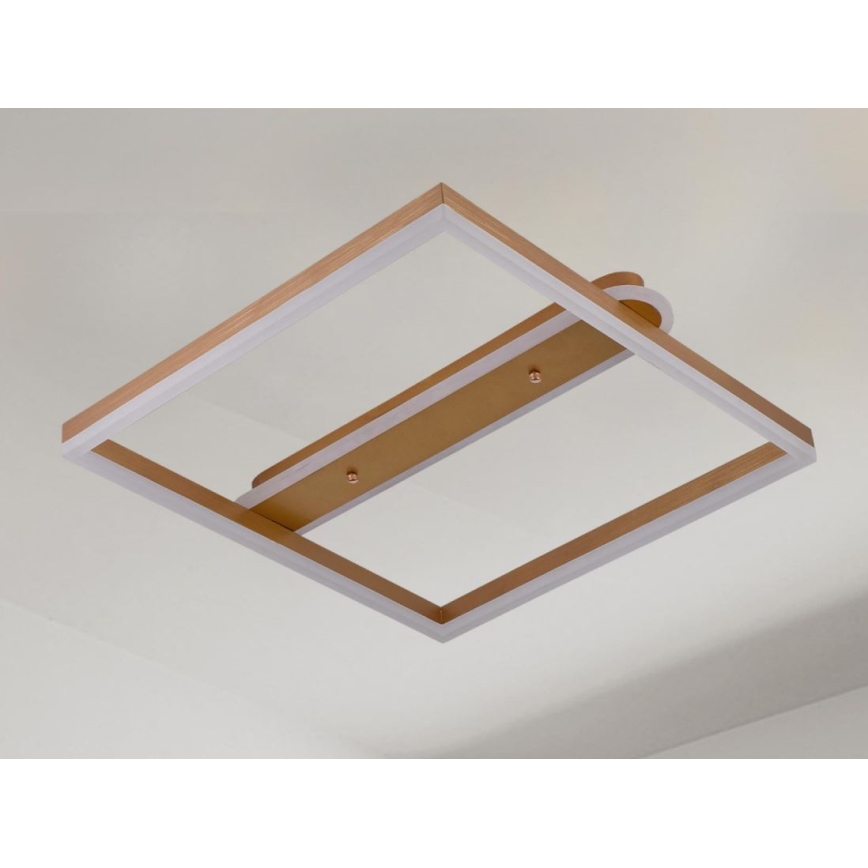 LED Ściemnialna lampa sufitowa LED/60W/230V 3000-6500K + pilot