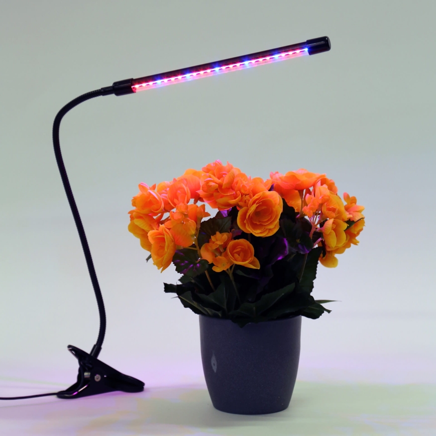 LED Ściemnialna lampa z klipsem do oświetlania roślin LED/3W/230V czarna