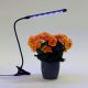 LED Ściemnialna lampa z klipsem do oświetlania roślin LED/3W/230V czarna